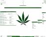 ~Simply Cannabis~ :: Herbalist